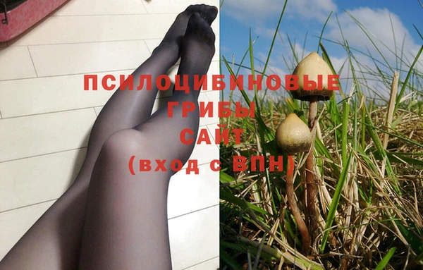 гашик Алзамай