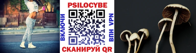 мега рабочий сайт  Болгар  Псилоцибиновые грибы Psilocybe  как найти наркотики 