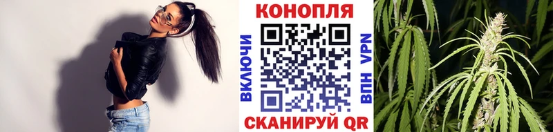 Конопля план  гидра ТОР  Болгар 